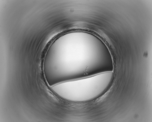 X0000092050830200709121023