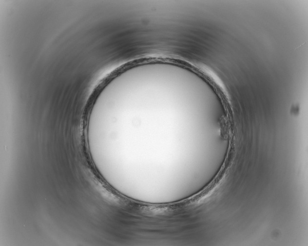 X0000092050831200709121023