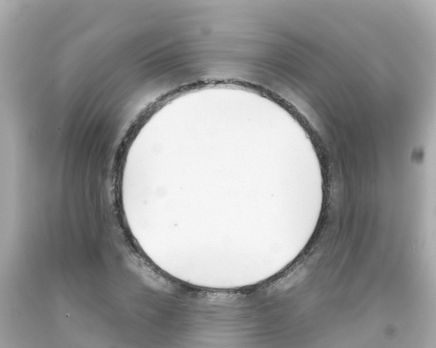 X0000092050832200709121023