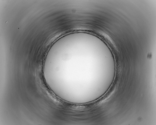 X0000092050833200709121023