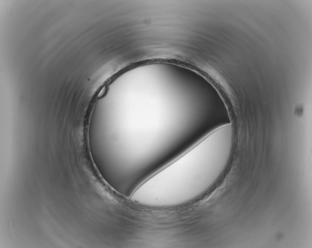 X0000092050834200709121023