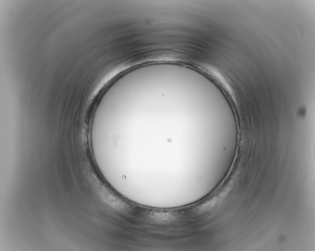 X0000092050835200709121023