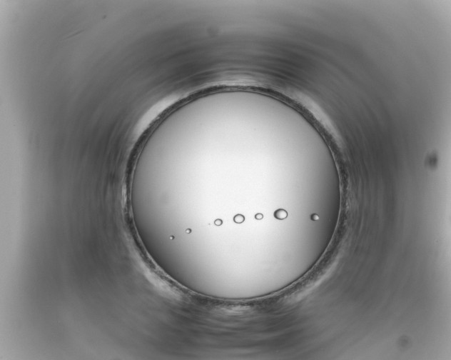 X0000092050837200709121023
