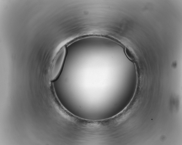 X0000092050838200709121023