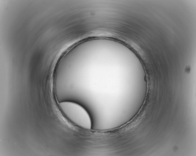 X0000092050840200709121023