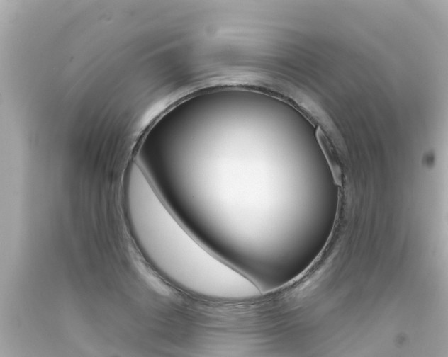 X0000092050842200709121023