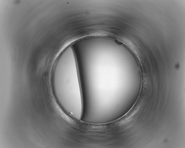 X0000092050843200709121023
