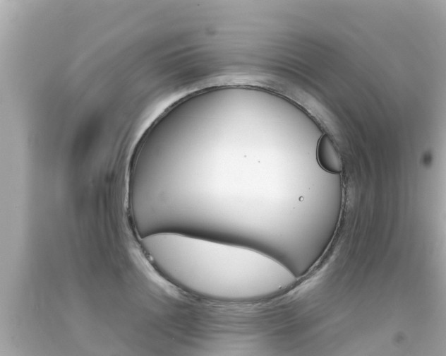 X0000092050844200709121023