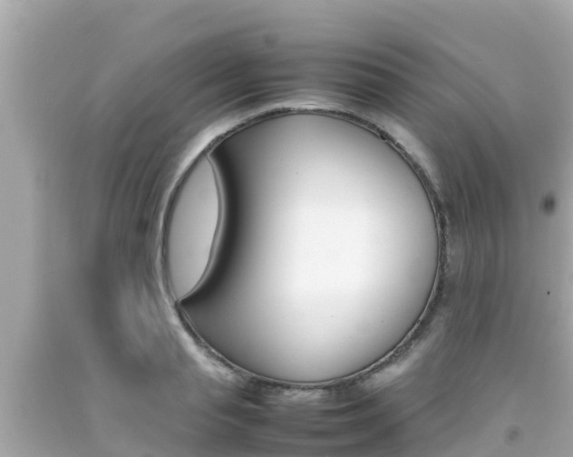 X0000092050845200709121023