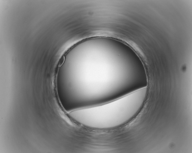 X0000092050846200709121023