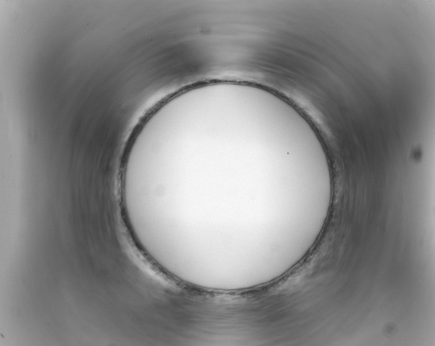 X0000092050848200709121023