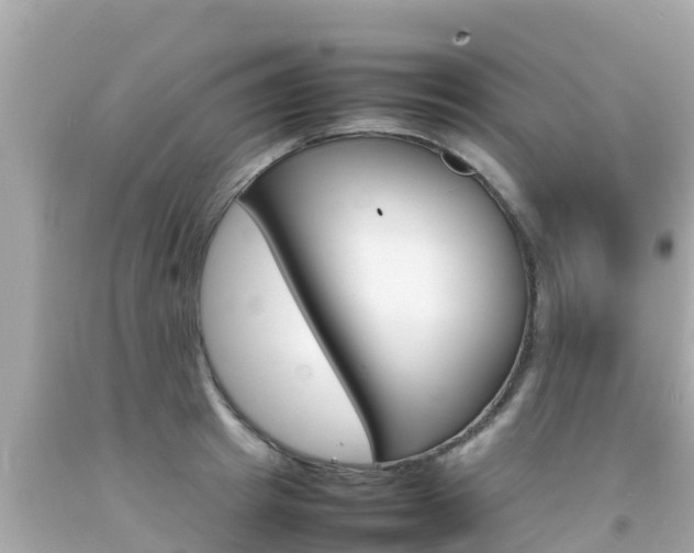 X0000092050849200709121023