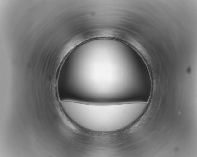 X0000092050850200709121023