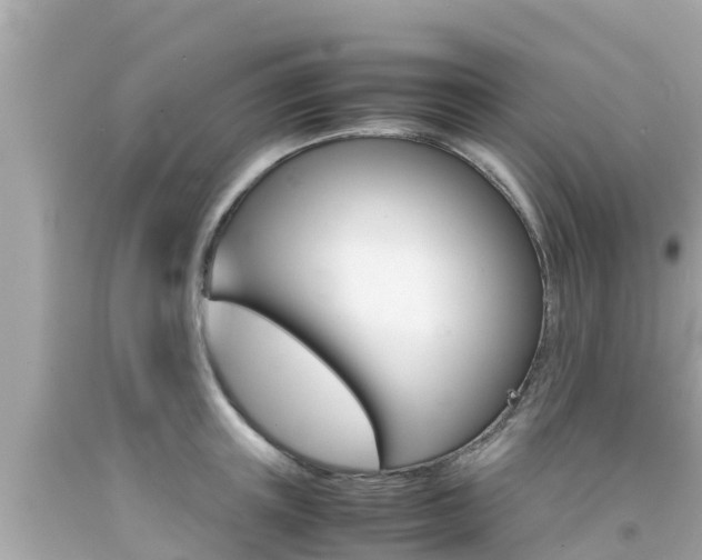 X0000092050851200709121023