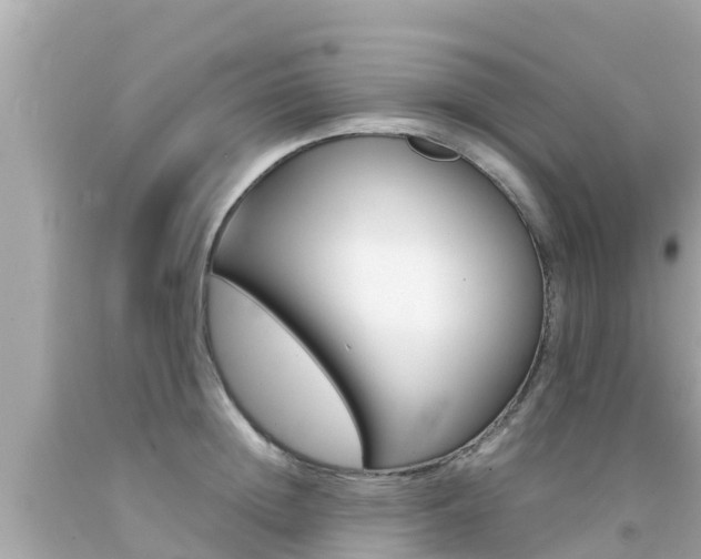 X0000092050852200709121023