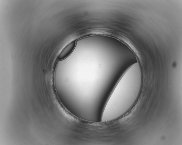 X0000092050853200709121023