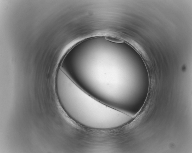 X0000092050854200709121023