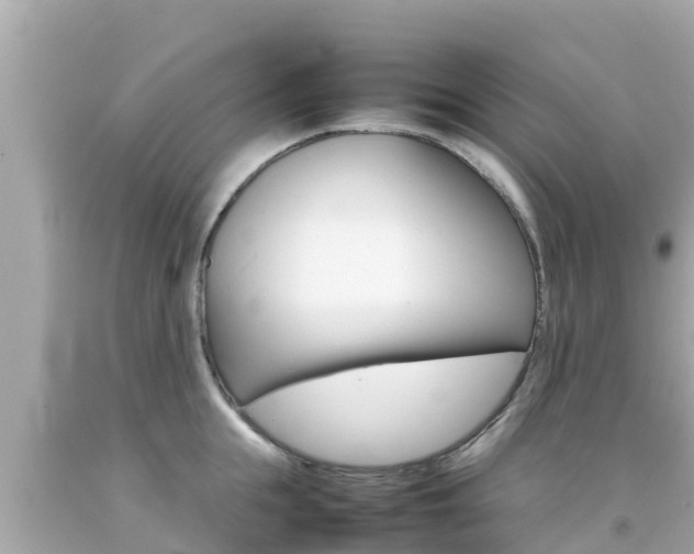 X0000092050855200709121023