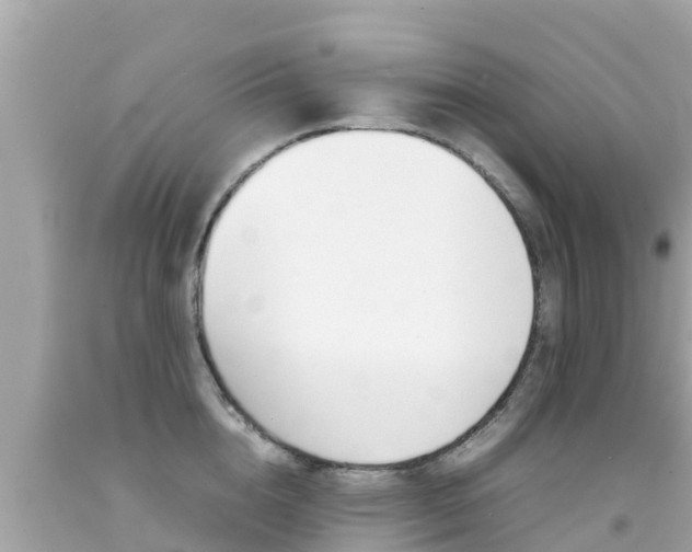 X0000092050856200709121023