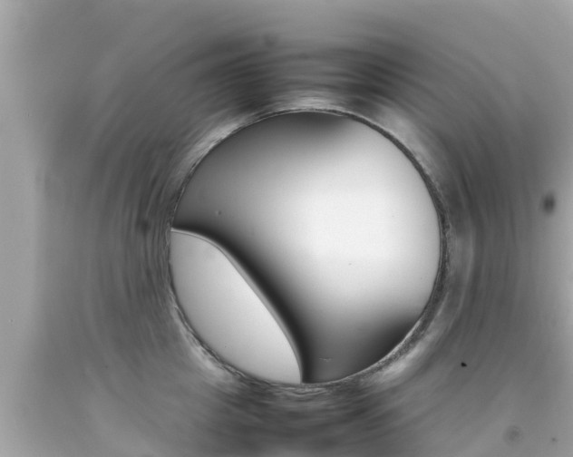 X0000092050857200709121023