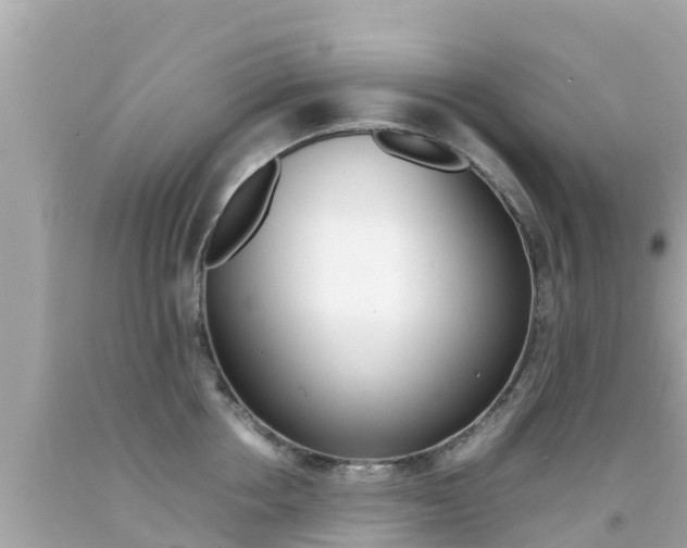 X0000092050858200709121023