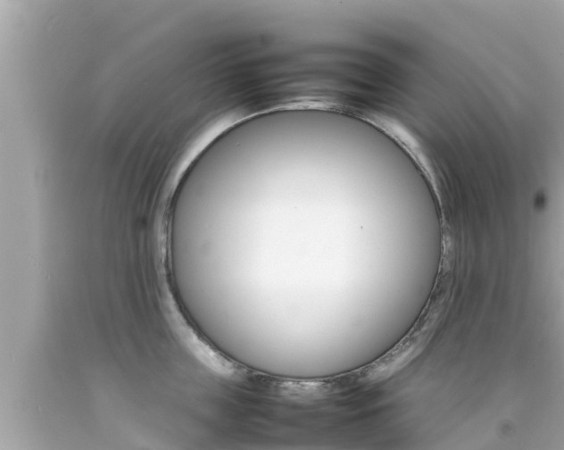 X0000092050859200709121023