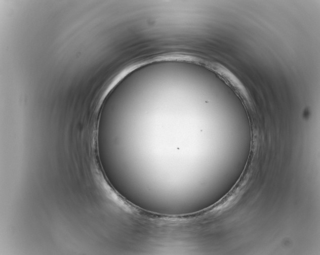 X0000092050860200709121023