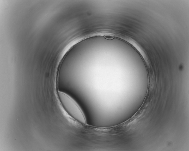 X0000092050861200709121023