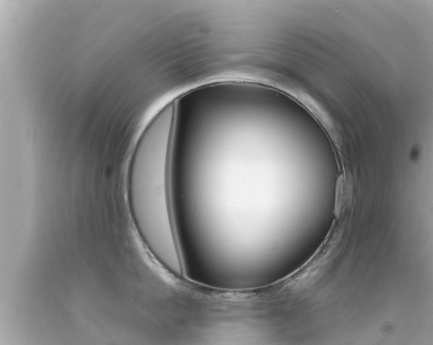 X0000092050862200709121023