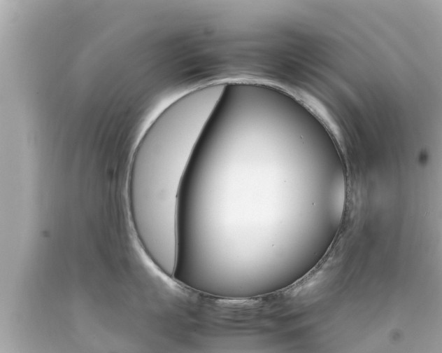 X0000092050863200709121023