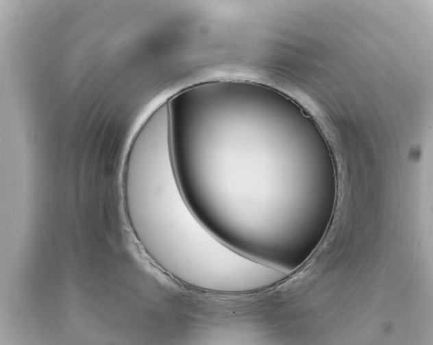 X0000092050864200709121023