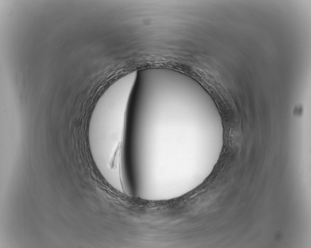 X0000092050865200709121023