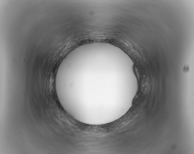 X0000092050866200709121023