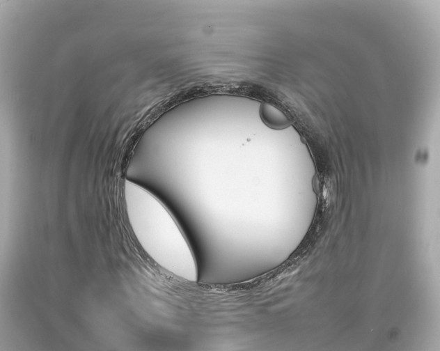 X0000092050867200709121023