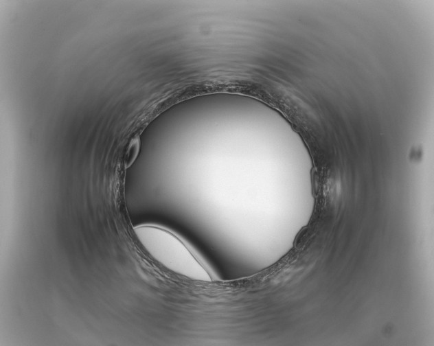 X0000092050868200709121023