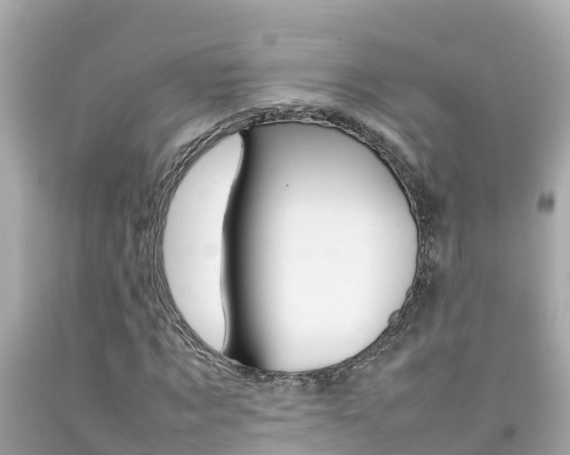 X0000092050869200709121023