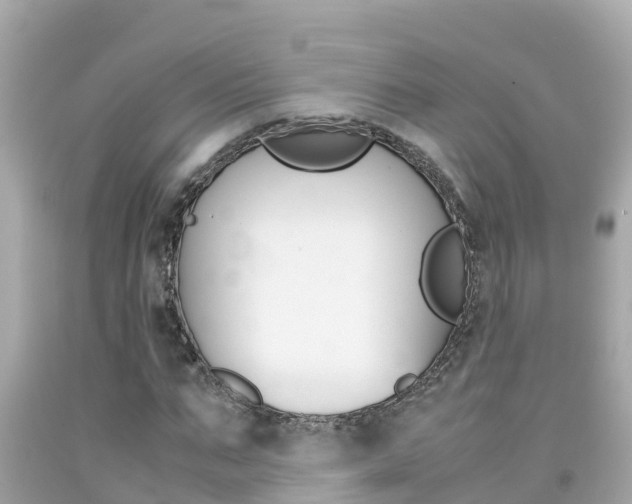X0000092050871200709121023