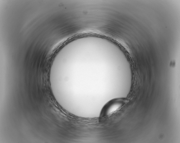 X0000092050872200709121023