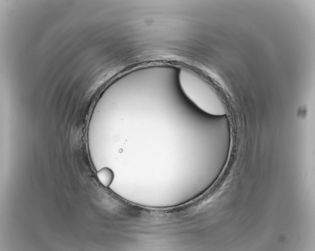 X0000092050873200709121023