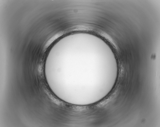 X0000092050874200709121023