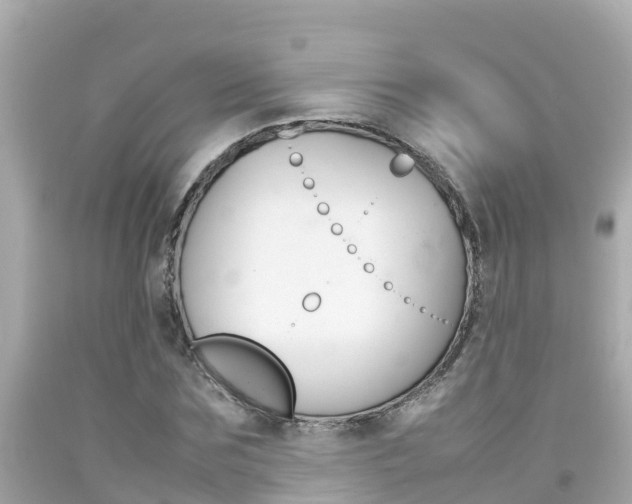 X0000092050875200709121023