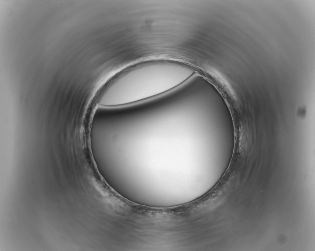 X0000092050876200709121023