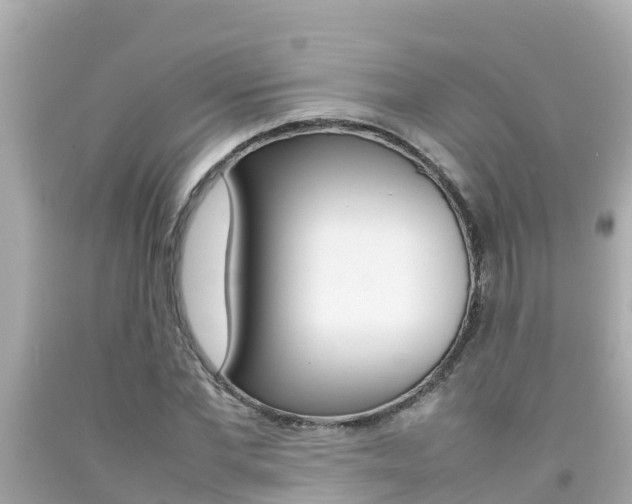 X0000092050877200709121023