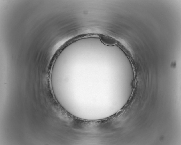X0000092050879200709121023