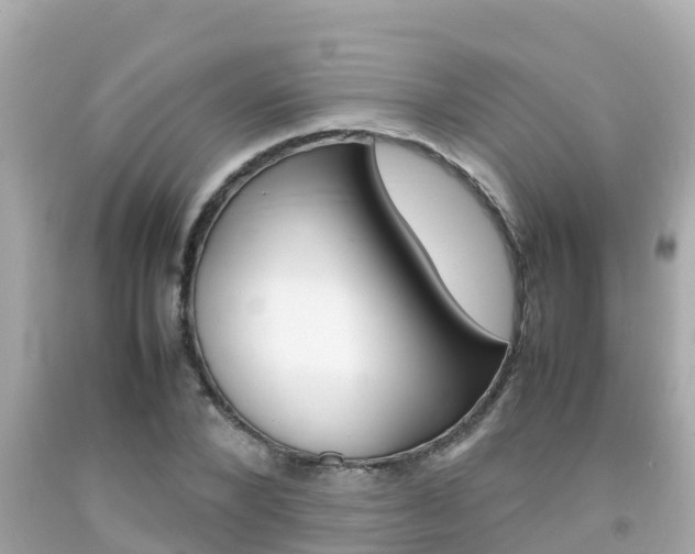 X0000092050880200709121023