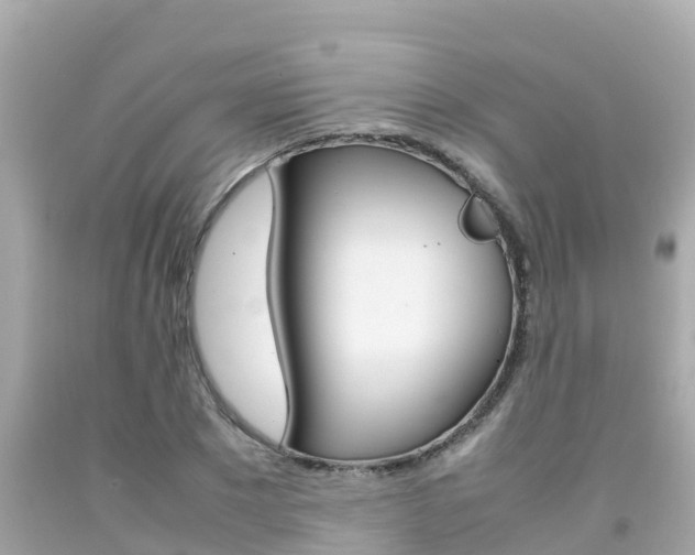 X0000092050881200709121023