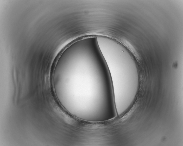 X0000092050884200709121023