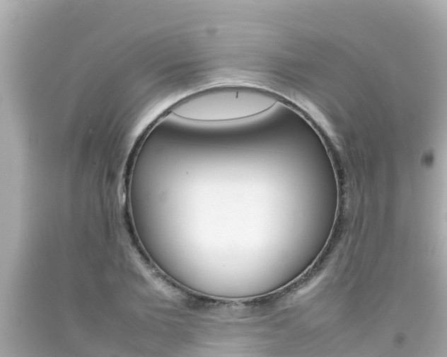 X0000092050885200709121023