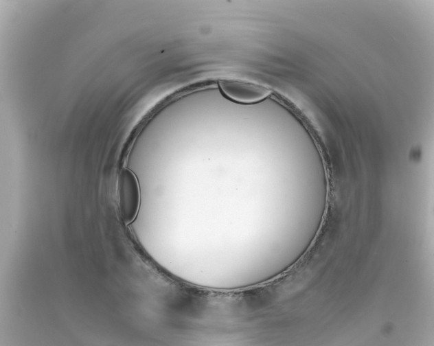 X0000092050887200709121023