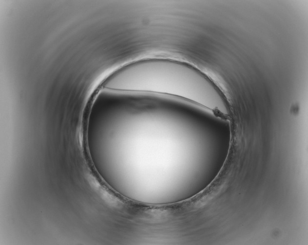X0000092050888200709121023